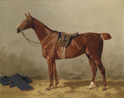 Saddled Sport Horse by Emil Volkers